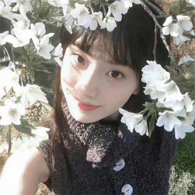田园乐韵